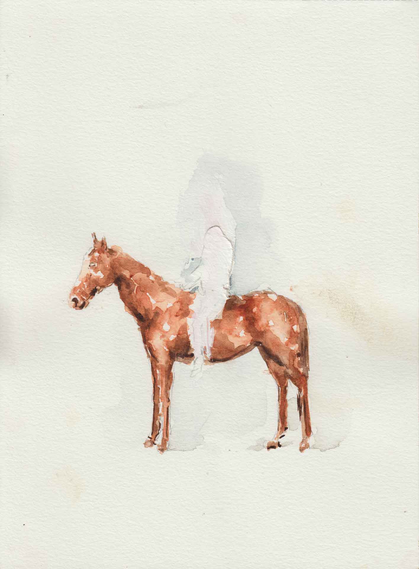 pauline zenk horse arts and society